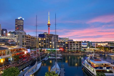 Auckland City Tour