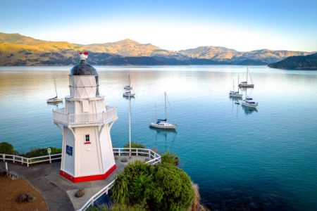 Christchurch to Akaroa Day Tour