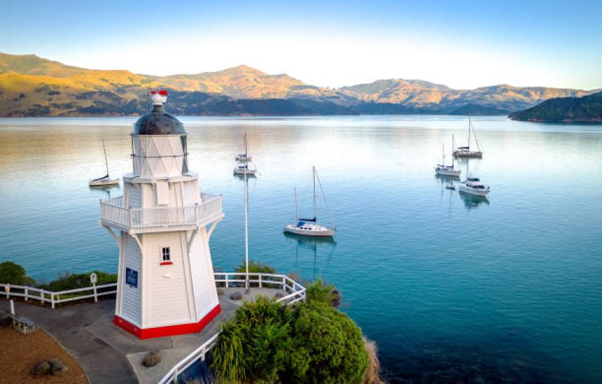 Christchurch to Akaroa Day Tour