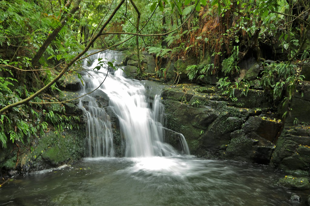 Hinewai Reserve